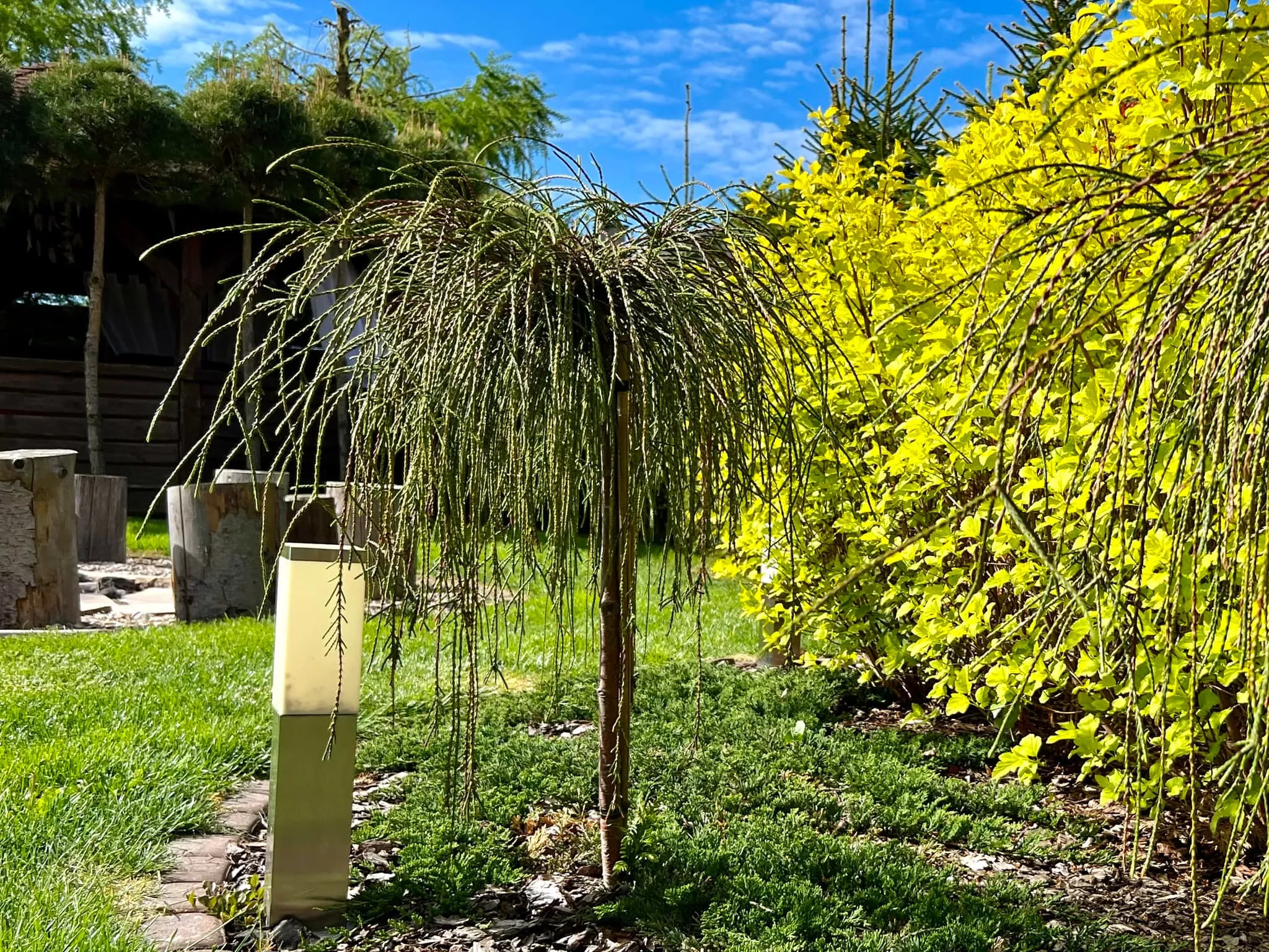 Gwiazda disco polo pochwaliła się wielkim, rajskim ogrodem! Wiemy kto go zaprojektował! Jest wyjątkowy! [ZDJĘCIA]